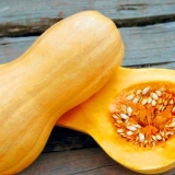 Tikva matilda f1: recenzije, fotografije